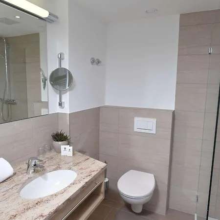 호텔 Western Queens Pforzheim-niefern 4*